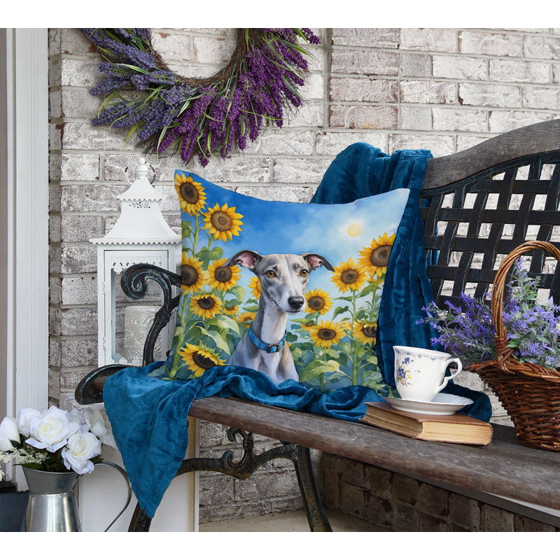 Other/No Pattern Outdoor Throw Pillow, 18" H x 18" W