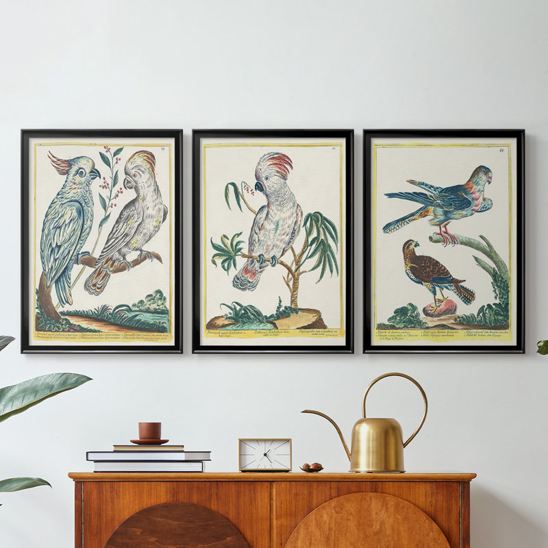 «Pastel Birds I» - Toile tendue avec châssis sur mesure - 3 pièces, H 21 po x l 30 po, Noir