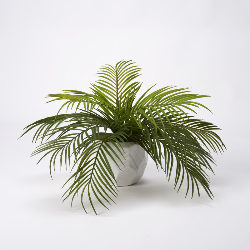 Palmier en céramique Kathie Hawaiian