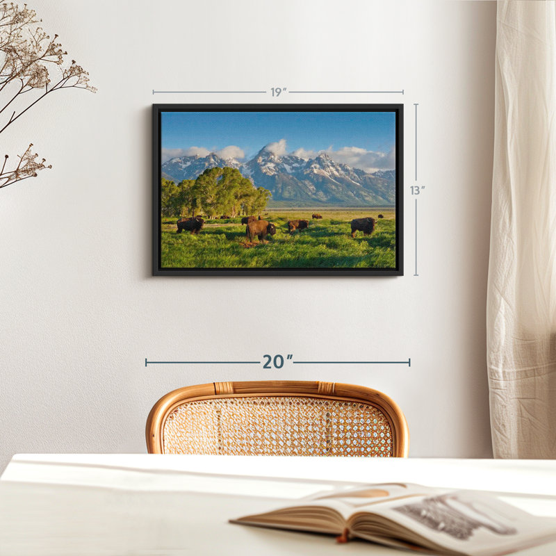 Animal «Grand Teton Pasturant Bisons», reproduction sur toile, H 13 po x l 19 po