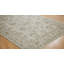 Wool Oriental Area Rug in Ivory-279339248