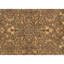 Hand Knotted Wool Indoor Rug