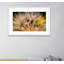 Float Away Print by Geoffrey Baris-48617806-48617807