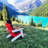 Adirondack Chairs