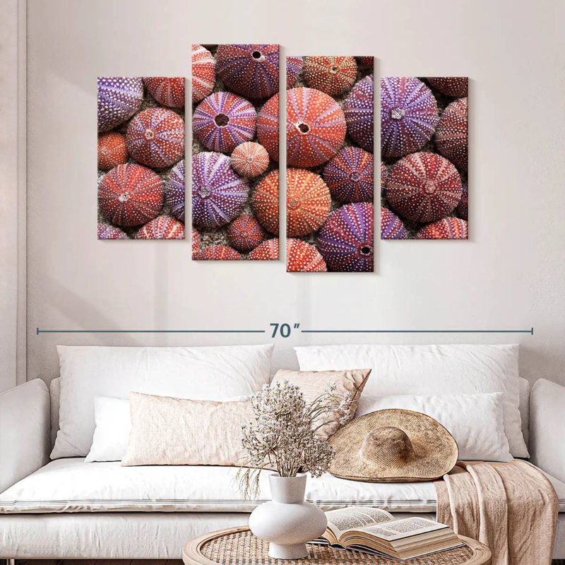 Brampt Empty Sea Urchin Shells, 32" H x 52" W