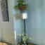Customer photo 3 of 3