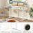 63 X 24 Inch Sit Stand Desk Height Adjustable Electric Standing Desk-1505264858