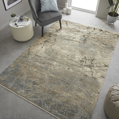 Amichai Area Rug