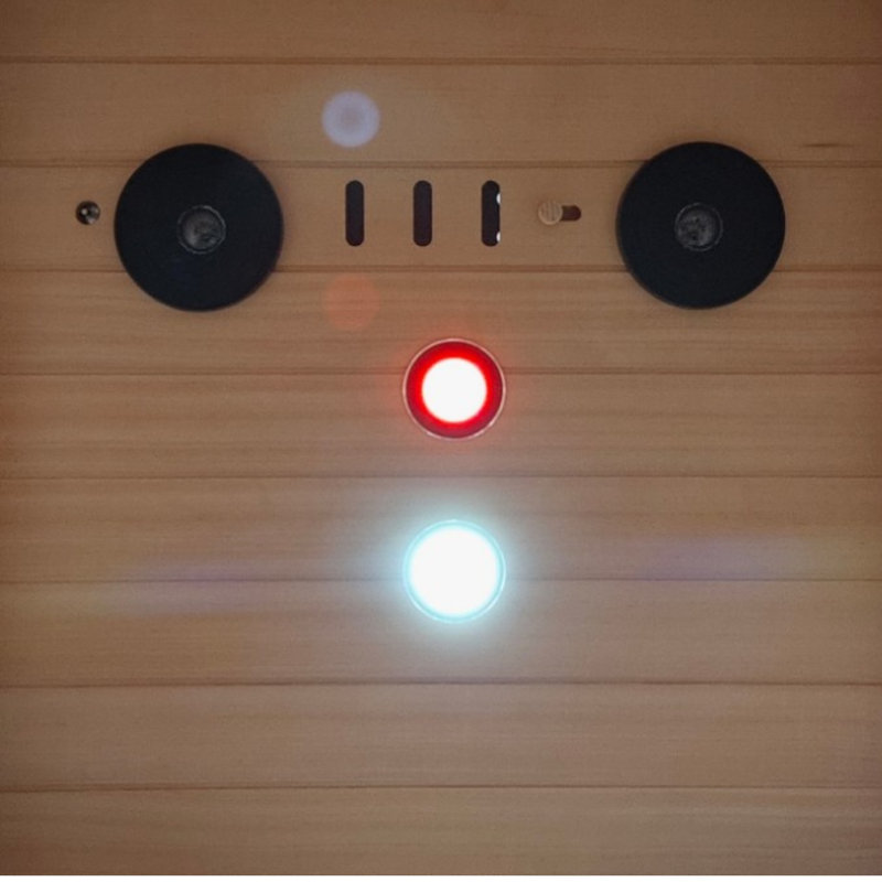 KISRAIS Indoor Sauna Single Person Low EMF Far Infrared Sauna with LED Reading Light, Red light, Timing temperature function, Bluetooth Speakers, Made from Canadian Hemlock