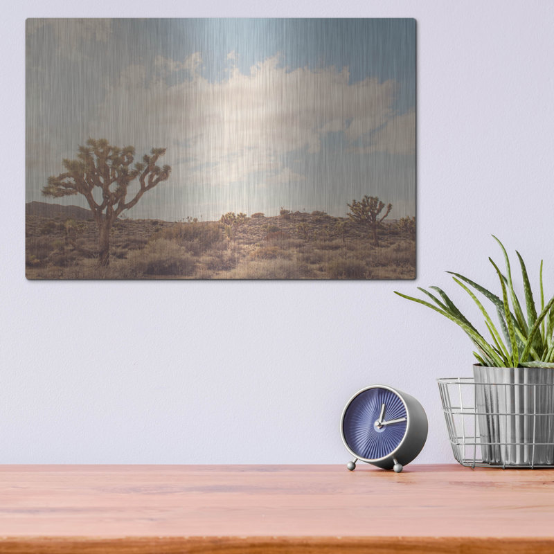 «Sunshine & Joshua Trees» par Myan Soffia, art mural en métal, H 12 po x l 16 po
