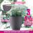 7'' Self Watering Planters For Indoor Plants - With Water Level Indicator For Flower Pot , Grow Tracking Tool - Coco Coir - Grey 3 Pack