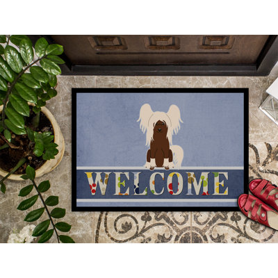 « welcomed welcome 27 po x 18 po » tapis de porte extérieur antidérapant Chinese