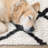 Botelho Cream Charcoal Abstract Trellis Rug-1624839951