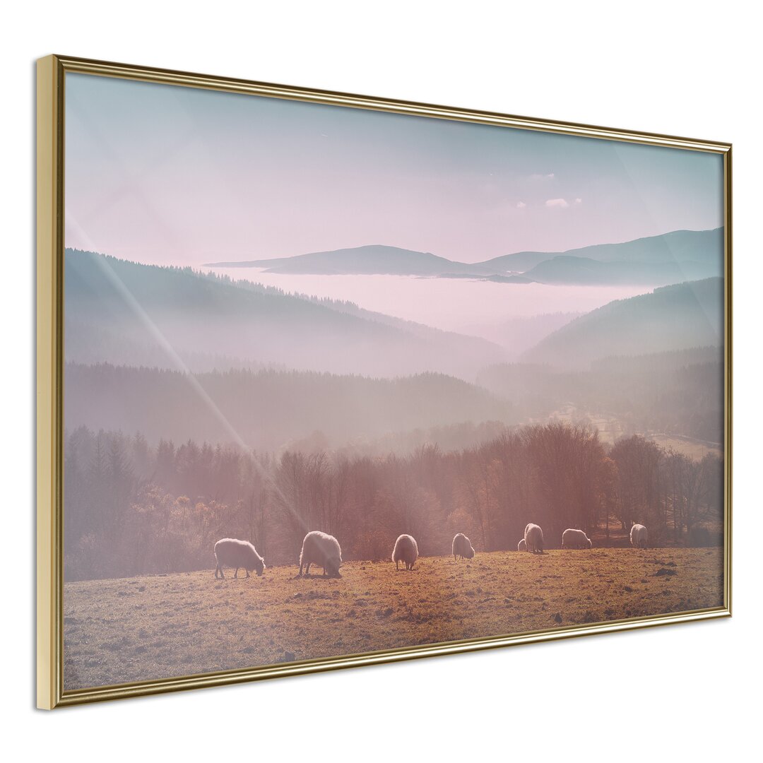 Gerahmtes Poster Mountain Pasture