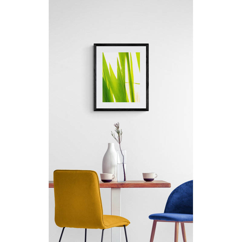 Sunkissed _ 3596 Print by Petra Trimmel, Black Framed Canvas, 33" H x 25" W