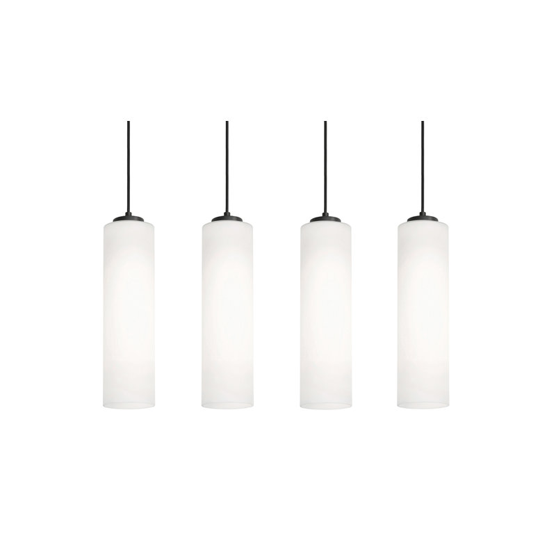 Leo 4-Light Linear Pendant - 120V - 60W, Black