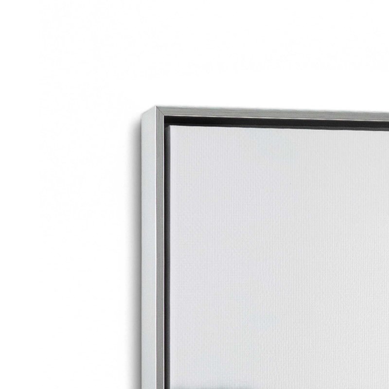Impression sur toile Alpaca Charm, Cadre flottant en chrome poli, H 36,75 po x l 24,75 po x P 1,75 po