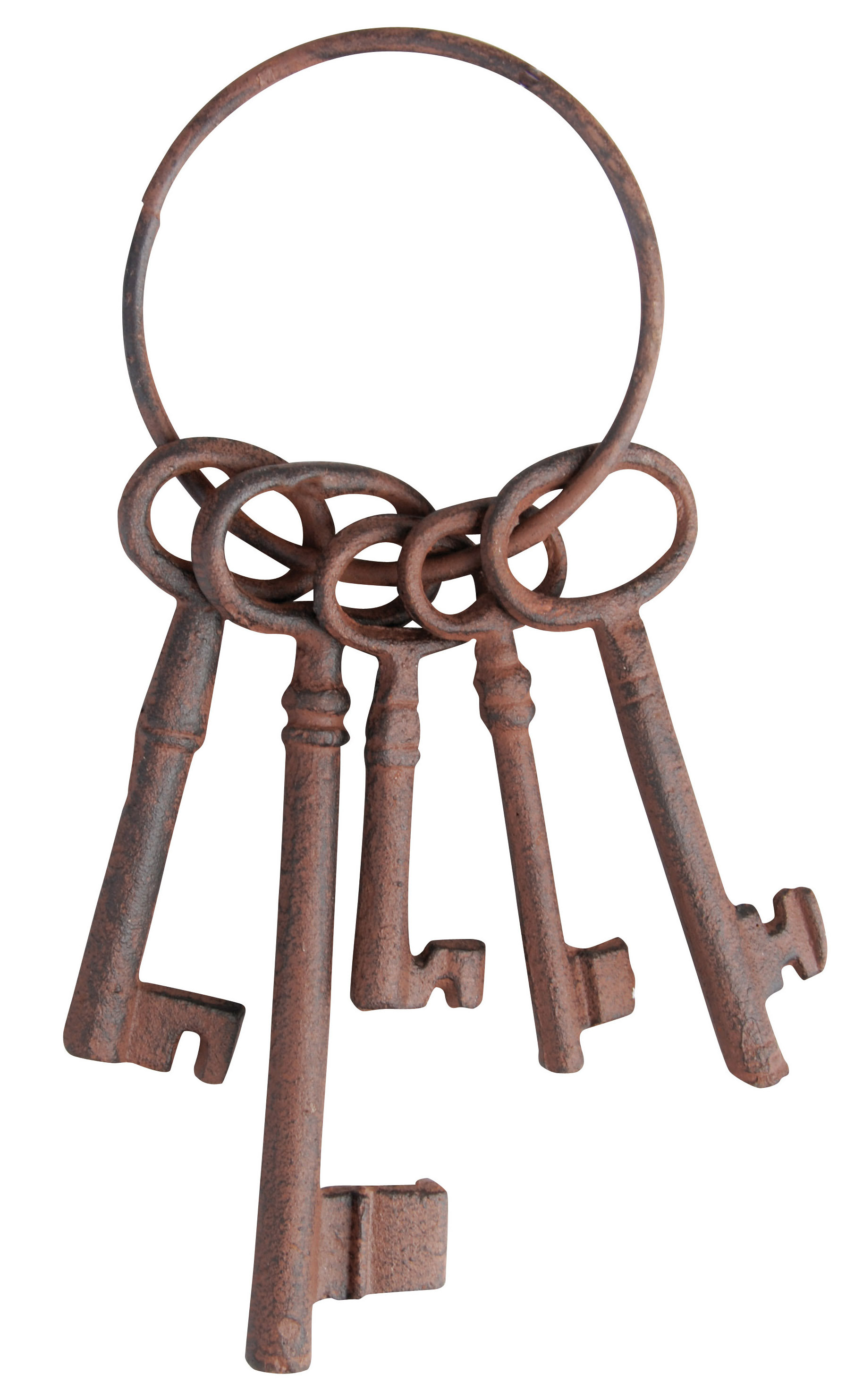 Dakota Fields Cast Iron Keys (Small) & Reviews | Wayfair.co.uk