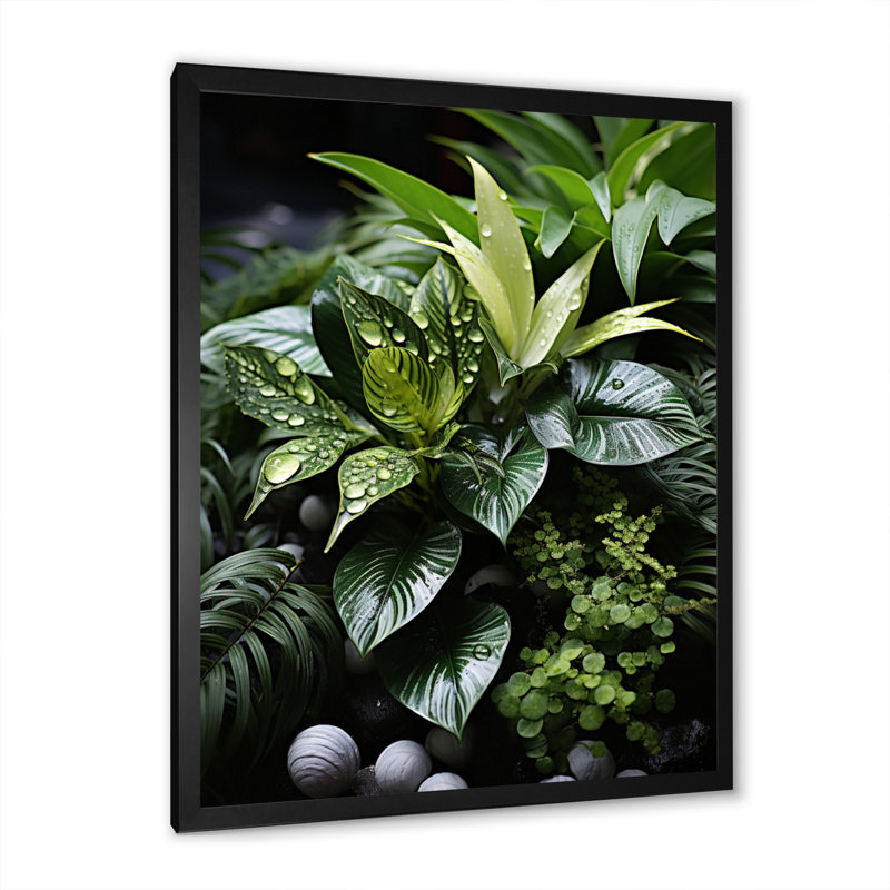 Plantes Botanical Oasis - reproduction d'art sur toile florale, Cadre photo noir, H 20 po x l 12 po x P 1 po