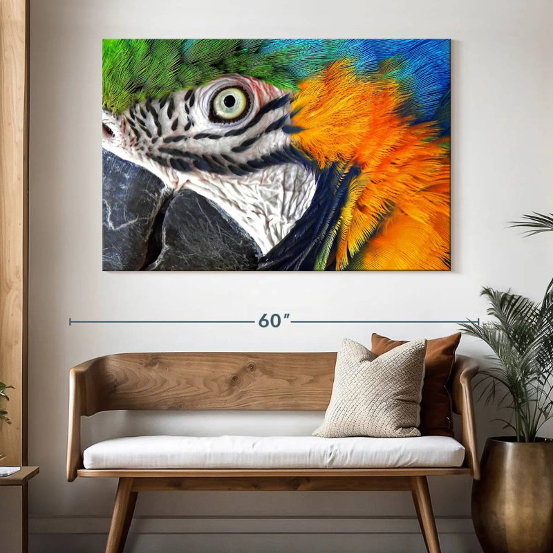 Brampt Macaw Eye, 34" H x 51" W