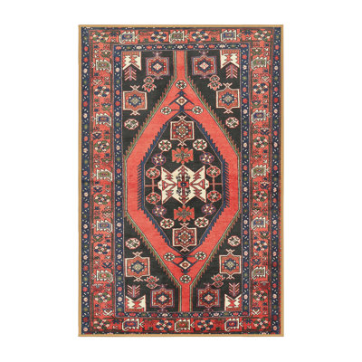 Southwestern Indoor Rug