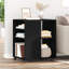 Rectangle Accent Cabinet