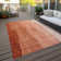 Lavonia Flatweave Washable Ombre Indoor / Outdoor Rug