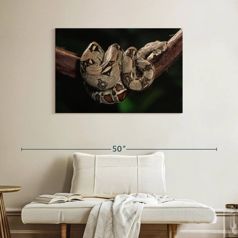 Boa Constrictor, 26" H x 39" W