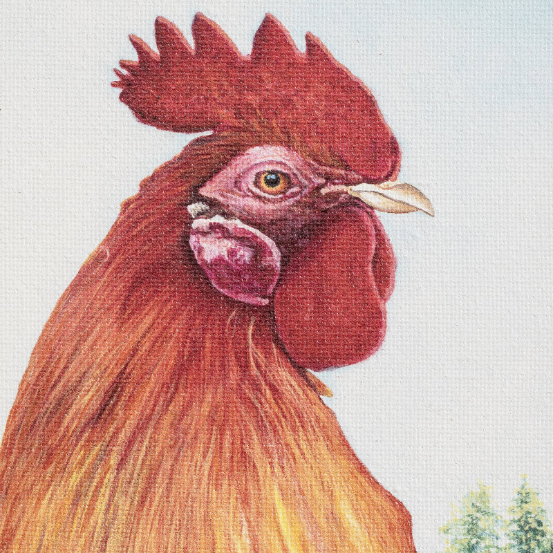 Décoration murale Early Rooster