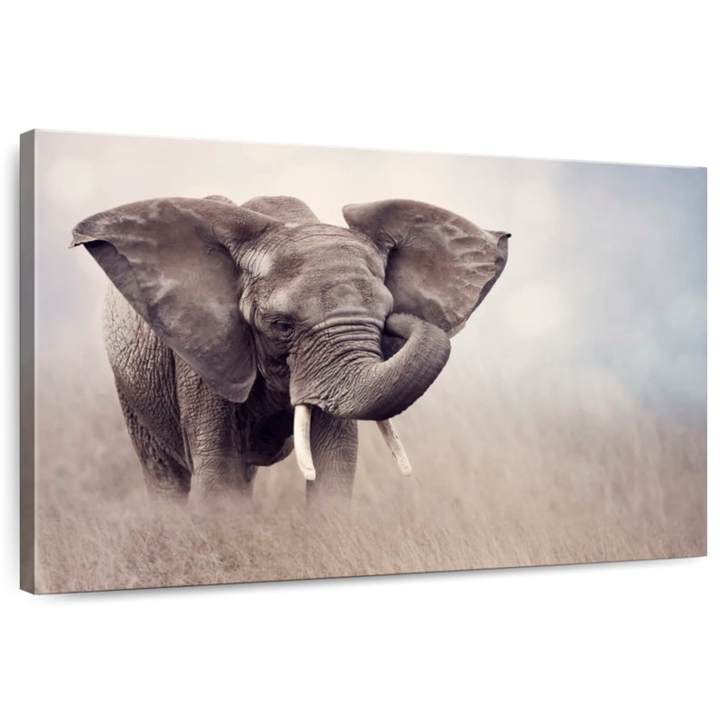 Brampt Young Savanna Elephant, 32" H x 48" W