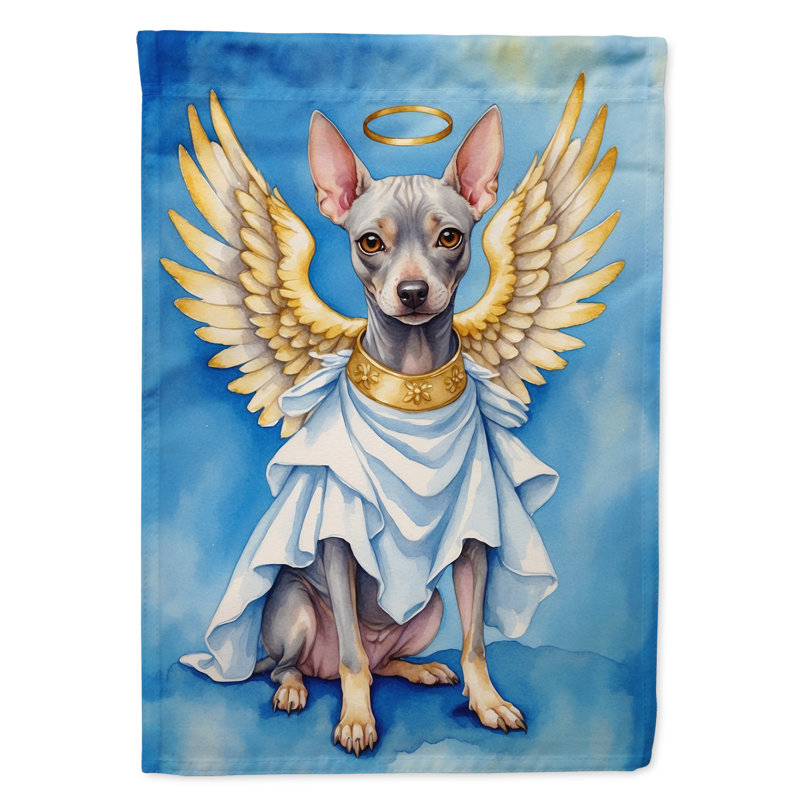 Drapeau américain «American Hairless Terrier My Angel House»