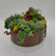 Arrangement de plantes grasses artificielles espresso | Centre de table rustique moderne (l 13 po)