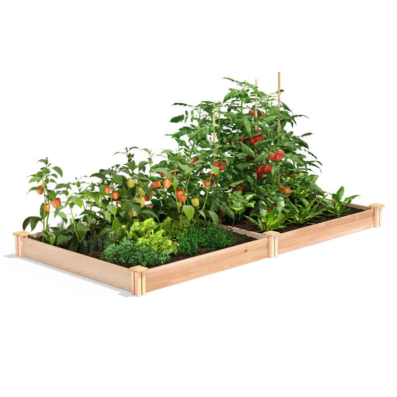 96" L x 48" W x 5.5" H Cedar Raised Garden Bed