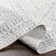 Erving Southwestern Indoor Rug