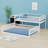 Bunk Bed With Ladder And Guardrails-958417513