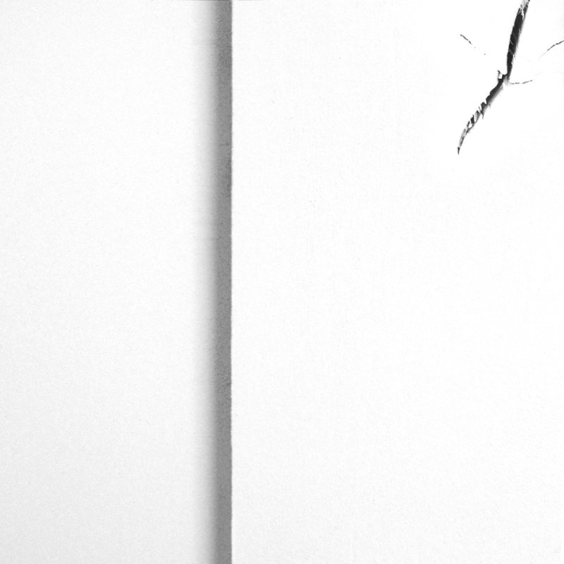 Portes de grange à panneaux avec quincaillerie d'installation, Blanc peint