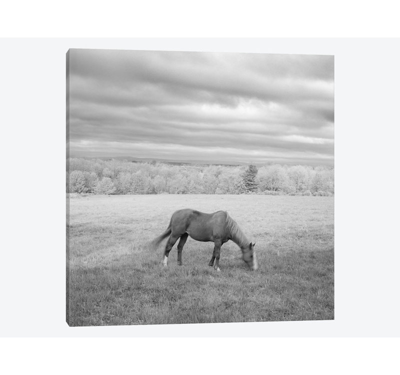 « solitaire », photographie sur toile, H 12 po x l 12 po x P 0,75 po, Pas de tapis, Toile tendue
