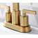 Dayani Centerset 2-handle Bathroom Faucet with Drain Assembly