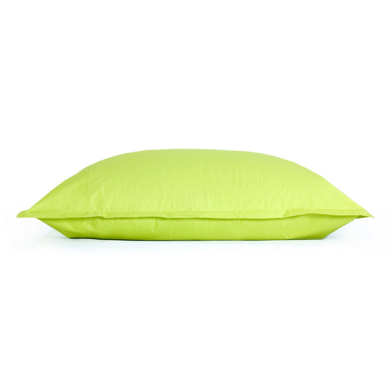 Nylon Outdoor Friendly Refillable Classic Bean Bag, Green