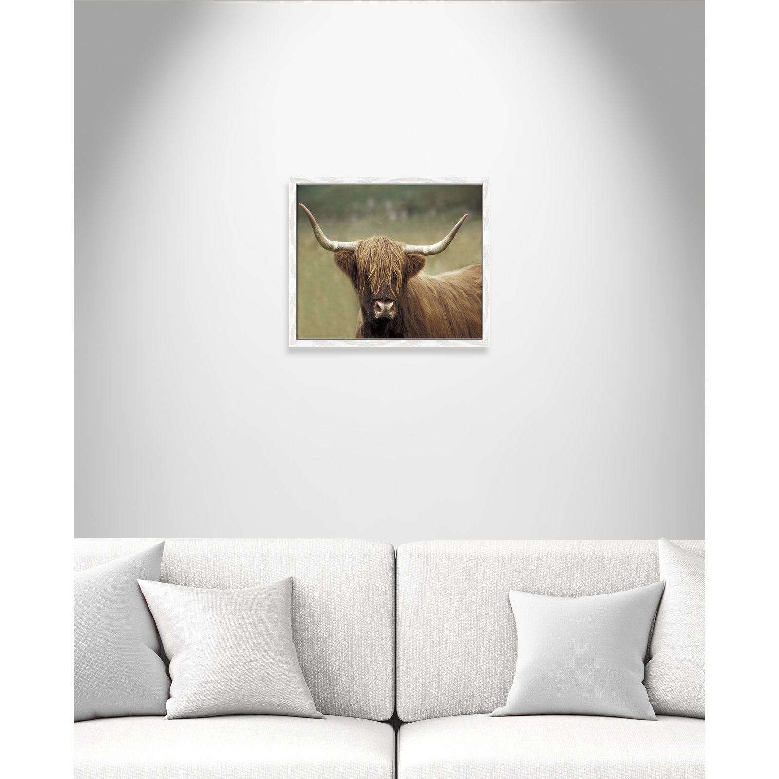 Highland Afternoon by Danita Delimont - Picture Frame Photograph, White Wood Grain Framed, 16" H x 19" W x 0.75" D