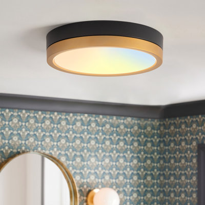 f12in Modern Dimmable LED Flush Mount Lighting 3000K/4000K/5000K Adjustable