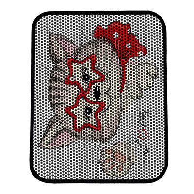 Premium Cat Litter Mat, 18 x 24 inches | 50% PVC / 50% Polyester, Machine Washable & Vacuum Friendly | Durable, Easy-Clean Design for Pet Owners | Protect Your Floors from Litter Messes