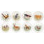 Wildlife Handmade Terra Bianca Dinner Plate