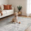 Abstract Area Rug-1067768610