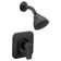 Rizon Shower Head with Handle and Posi-Temp