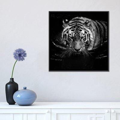 " Tiger In Water " by Lukas Holas