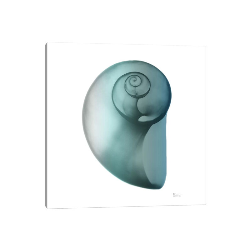 Water Snail II by Albert Koetsier - Wrapped Canvas Print, 30.48cm H x 30.48cm W x 1.905cm D