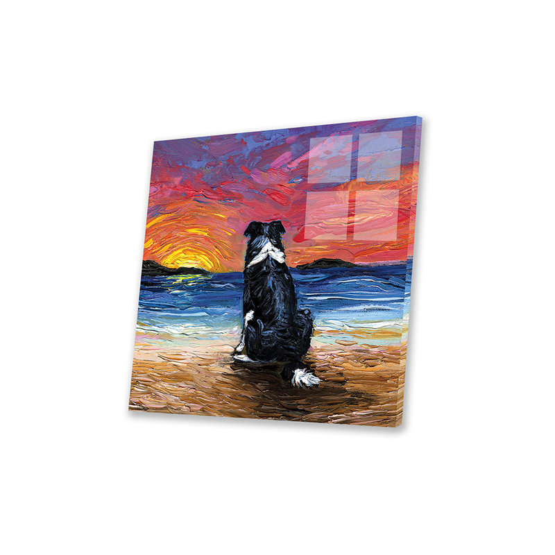 " Beach Days - Border Collie " by Aja Trier