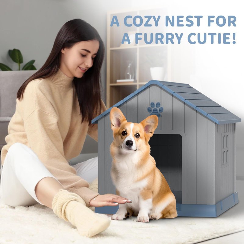 niche pour chien à pignon bleu, H 32,52 po x l 31,18 po x P 33,7 po