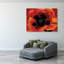 Coquelicot 2